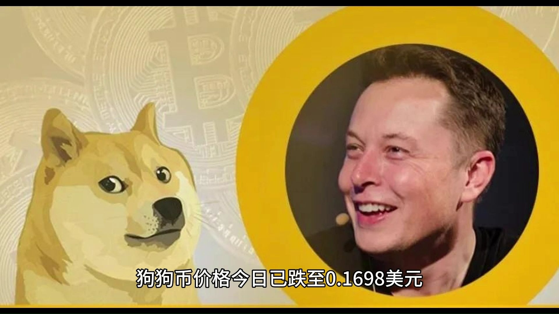 专家称狗狗币将在年底冲破262美元，引发引发关注-九游娱乐